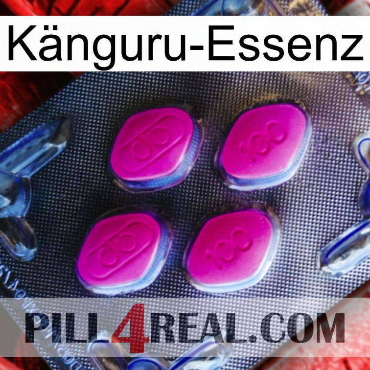 Känguru-Essenz 02